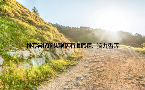 推荐尝试的火锅店有海底捞、蜀九香等
